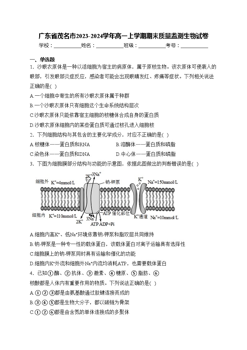 广东省茂名市2023-2024学年高一上学期期末质量监测生物试卷(含答案)第1页