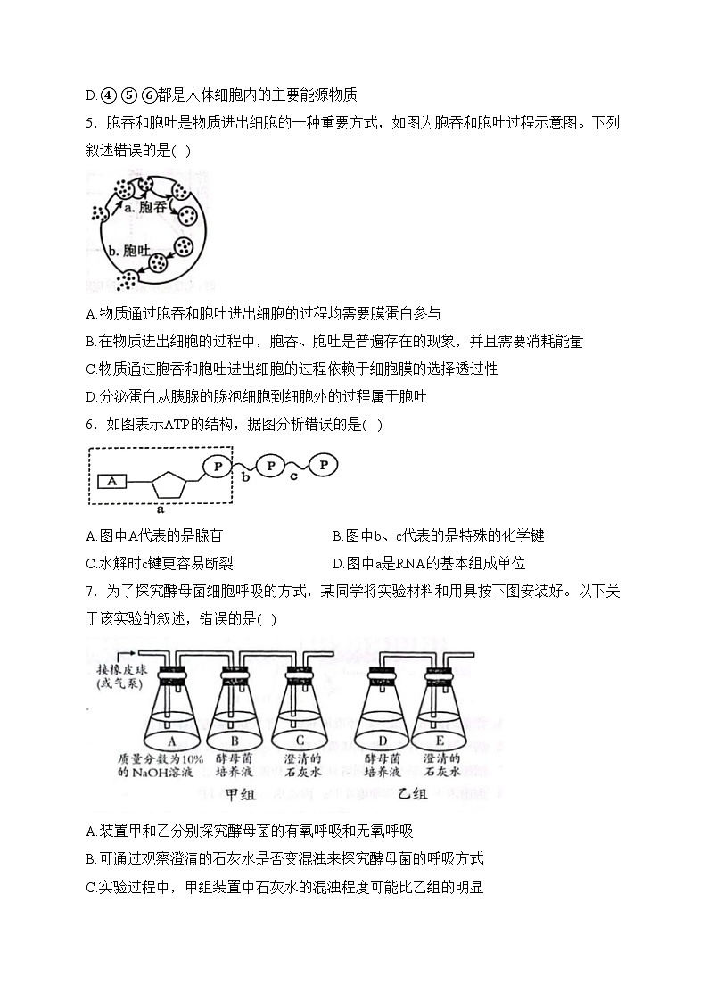 广东省茂名市2023-2024学年高一上学期期末质量监测生物试卷(含答案)第2页