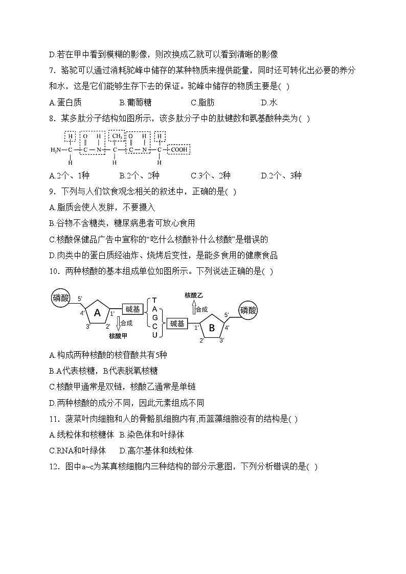 河南省开封市2023-2024学年高一上学期期末调研生物试卷(含答案)第2页
