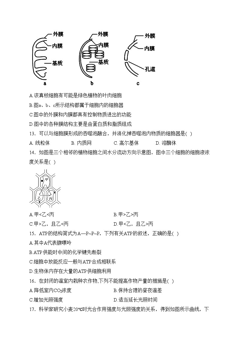 河南省开封市2023-2024学年高一上学期期末调研生物试卷(含答案)第3页