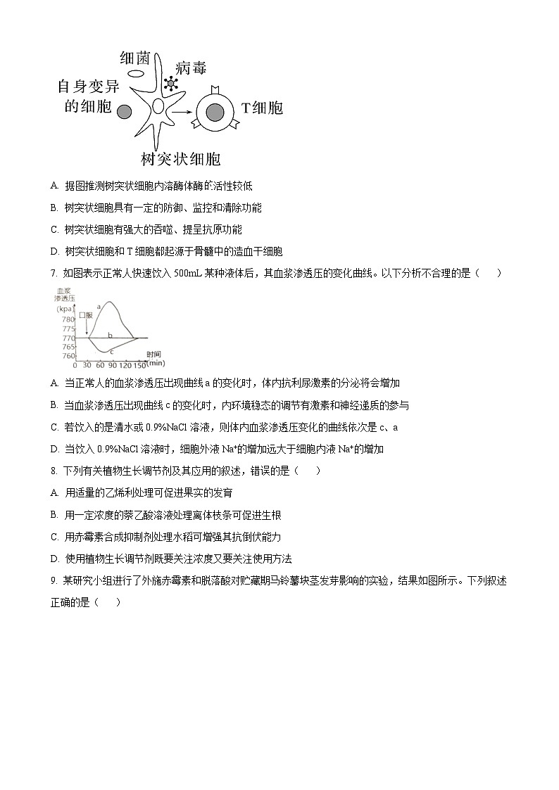 2024东台高二上学期期末考试生物含解析03