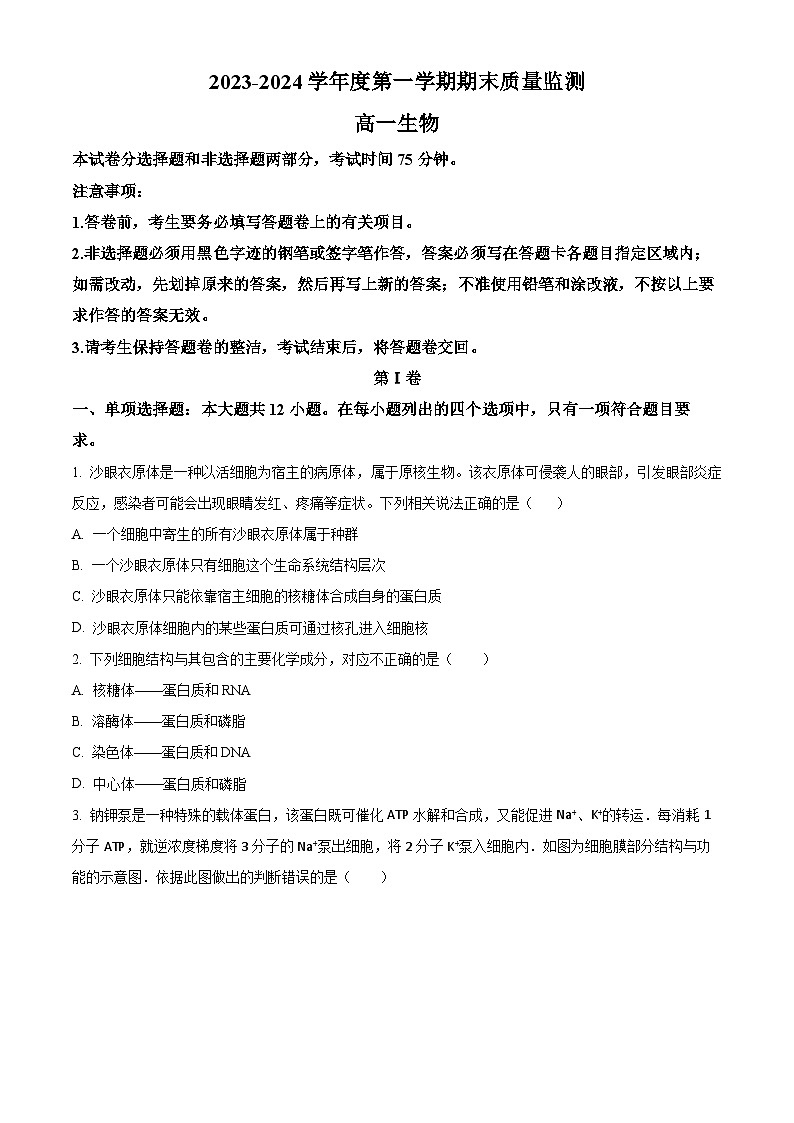 2024茂名高一上学期期末质量监测试题生物含解析第1页