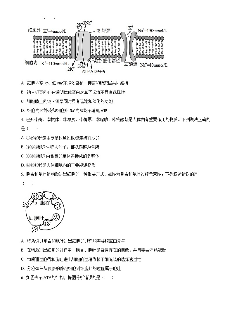 2024茂名高一上学期期末质量监测试题生物含解析第2页