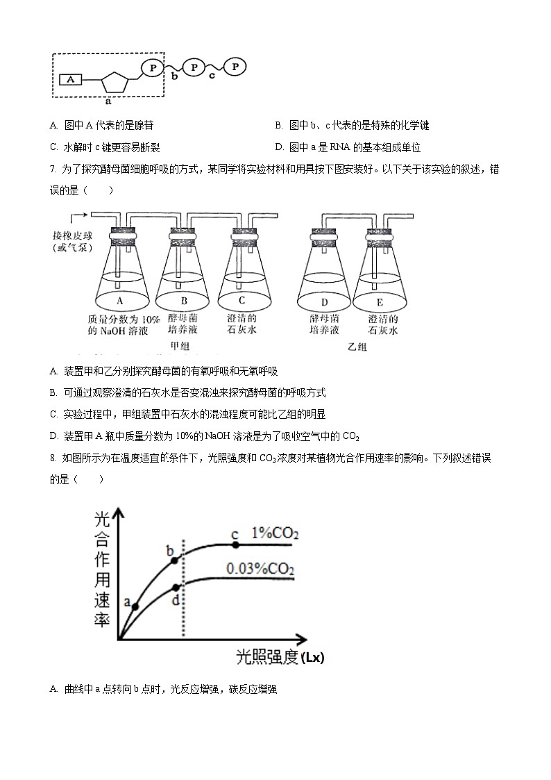 2024茂名高一上学期期末质量监测试题生物含解析第3页