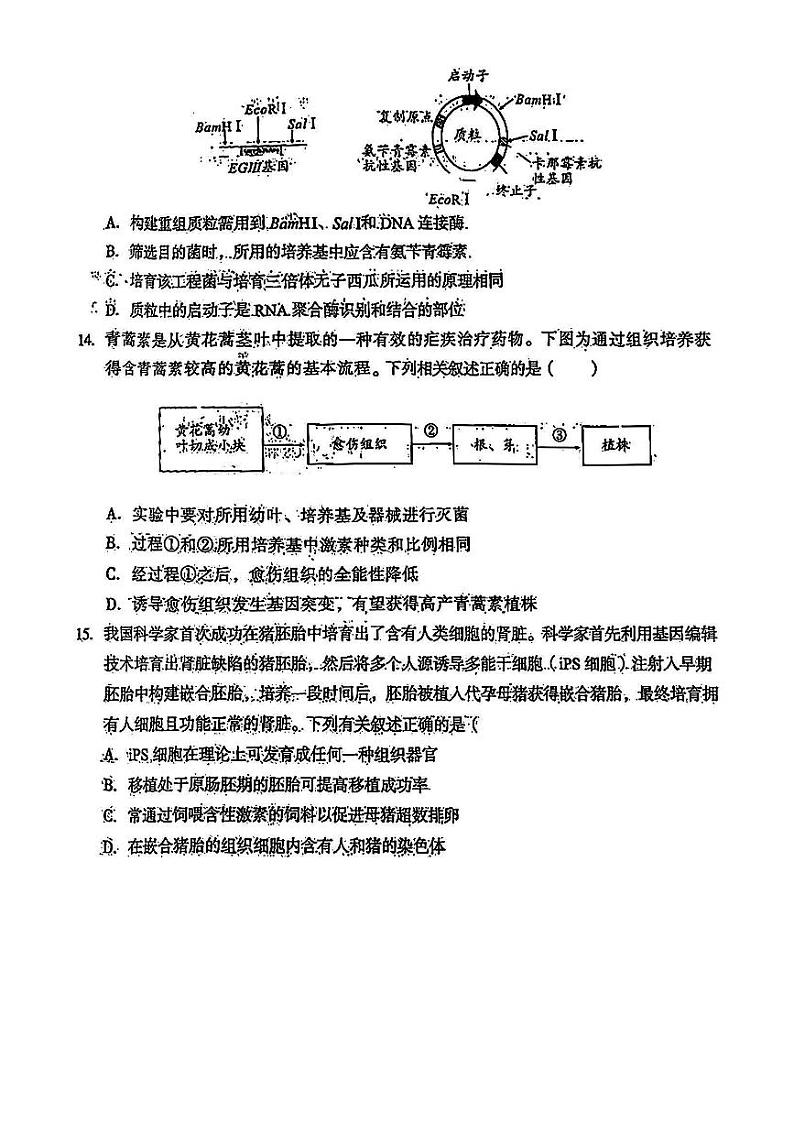安徽省A10+联盟2023-2024学年高三下学期开年考 生物第3页