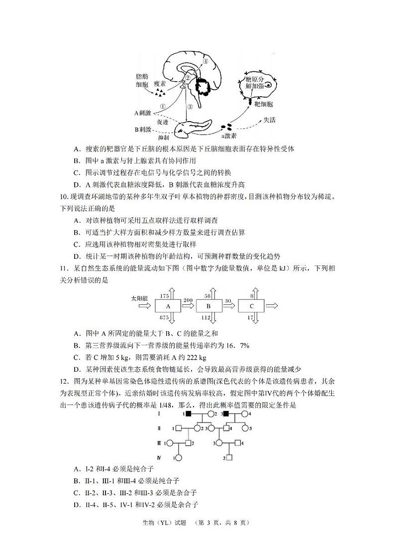 湖南省长沙市雅礼中学2024届高三一模试题生物试卷（PDF版附解析）第3页