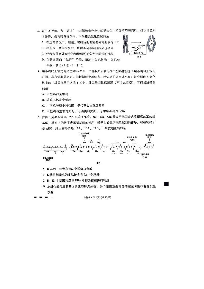 重庆市巴蜀中学校2023-2024学年高考适应性月考（六）生物第2页
