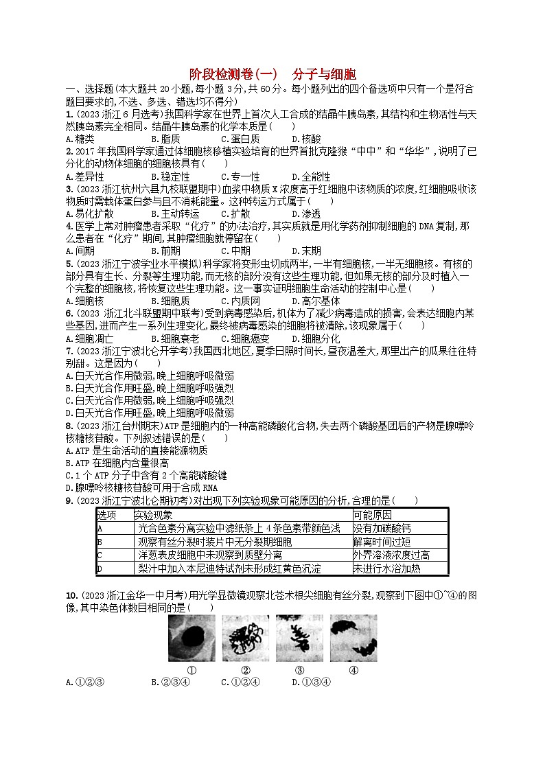 2024高考生物基础知识复习阶段检测卷1分子与细胞第1页