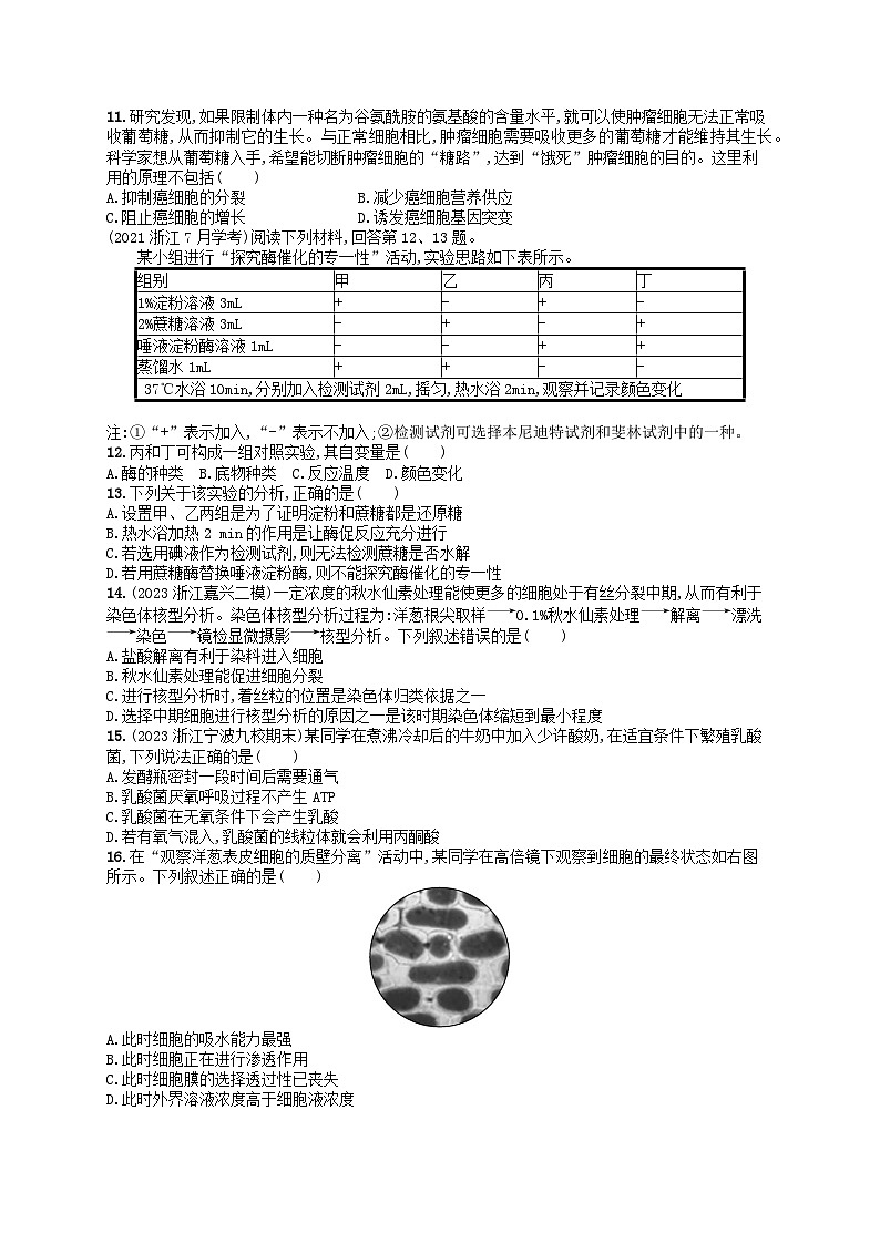 2024高考生物基础知识复习阶段检测卷1分子与细胞第2页