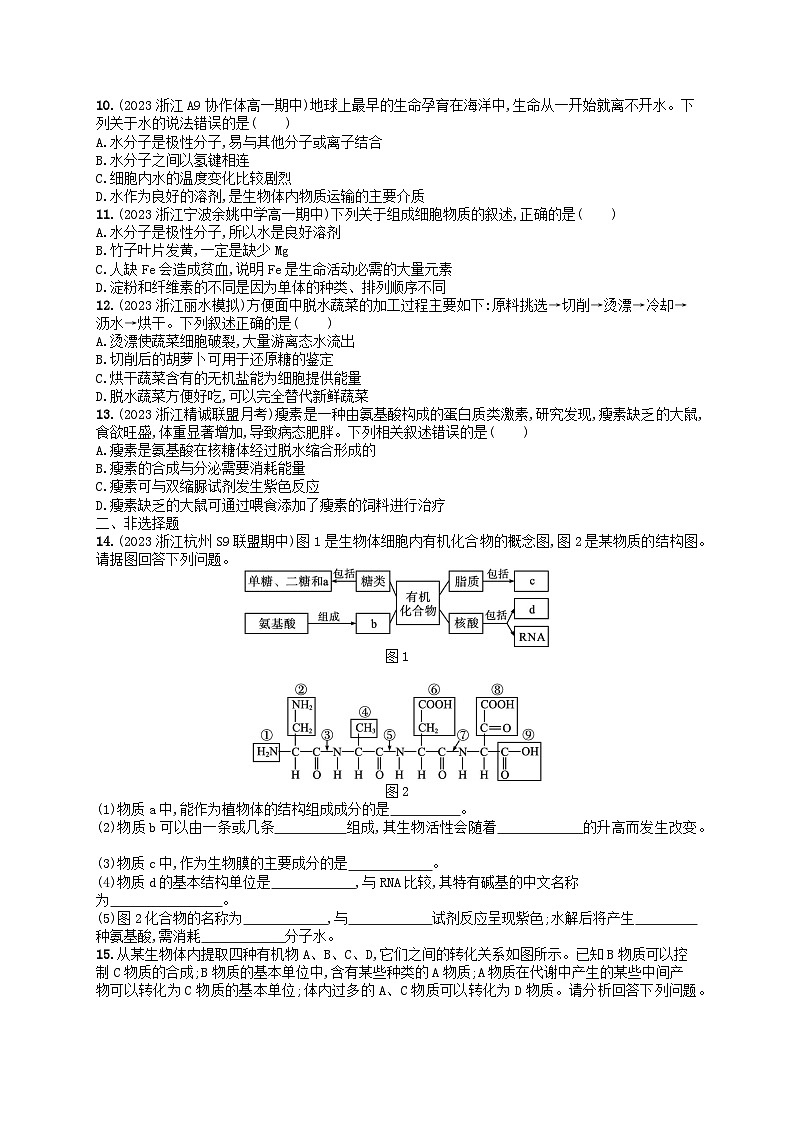 2024高考生物基础知识复习优化集训试题1细胞的分子组成第2页