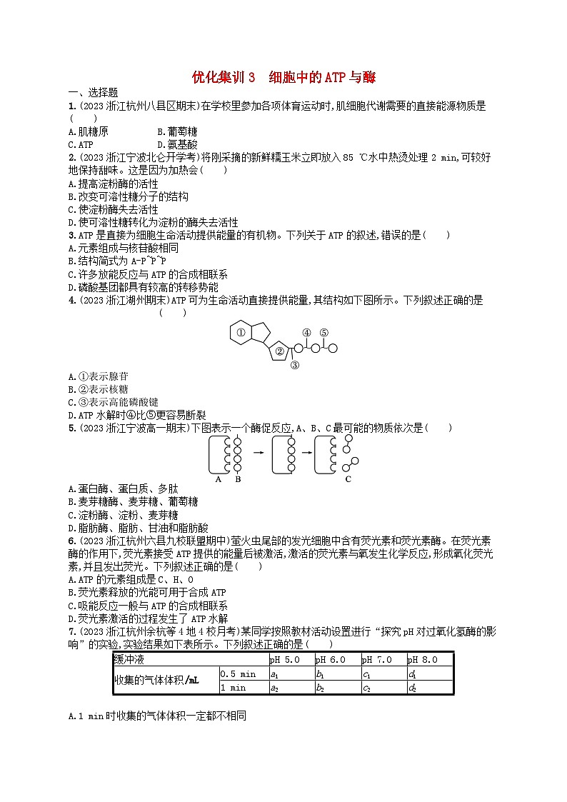 2024高考生物基础知识复习优化集训试题3细胞中的ATP与酶01