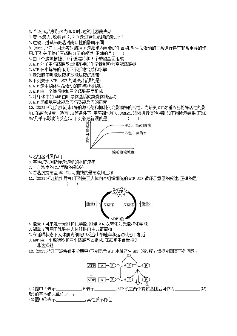 2024高考生物基础知识复习优化集训试题3细胞中的ATP与酶02