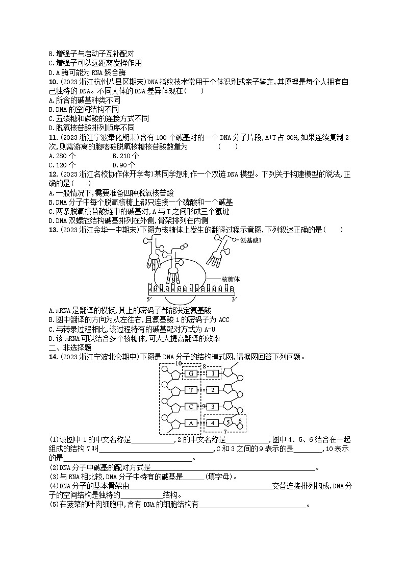 2024高考生物基础知识复习优化集训试题10遗传的分子基础第2页