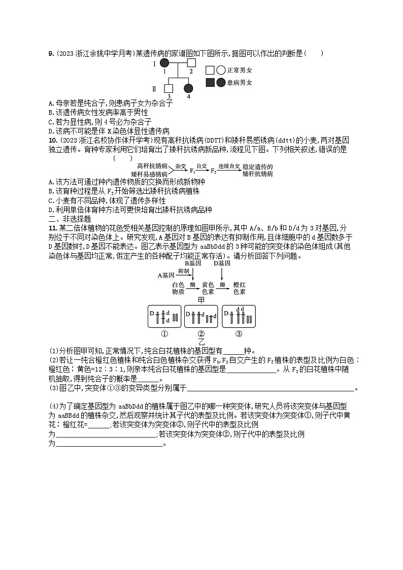 2024高考生物基础知识复习优化集训试题11生物的变异与遗传病第2页