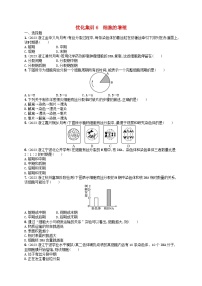 2024高考生物基础知识复习优化集训试题6细胞的增殖