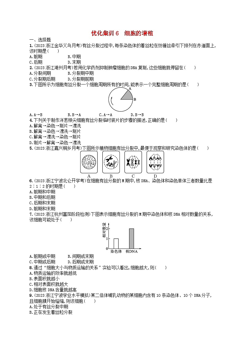 2024高考生物基础知识复习优化集训试题6细胞的增殖第1页