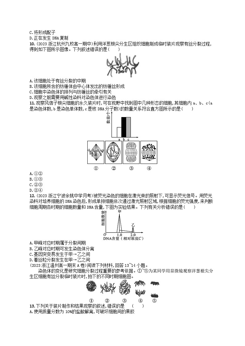 2024高考生物基础知识复习优化集训试题6细胞的增殖第2页