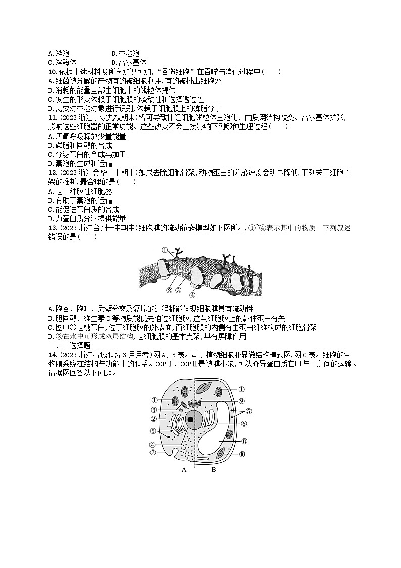 2024高考生物基础知识复习优化集训试题2细胞的基本结构02