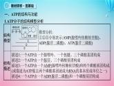 2024高考生物基础知识复习专题突破3细胞中的ATP与酶课件