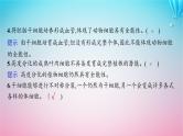 2024高考生物基础知识复习专题突破8细胞分化癌变衰老及凋亡课件
