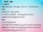 2024高考生物基础知识复习专题突破8细胞分化癌变衰老及凋亡课件