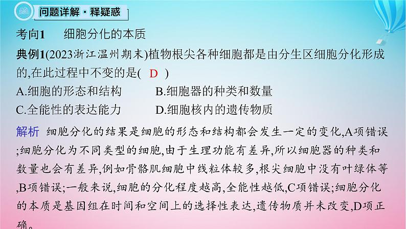 2024高考生物基础知识复习专题突破8细胞分化癌变衰老及凋亡课件第7页