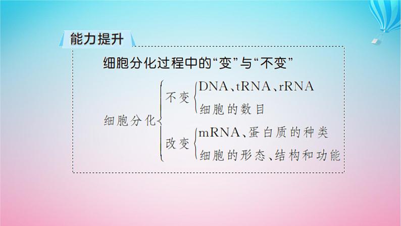 2024高考生物基础知识复习专题突破8细胞分化癌变衰老及凋亡课件第8页