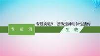 2024高考生物基础知识复习专题突破9遗传定律与伴性遗传课件