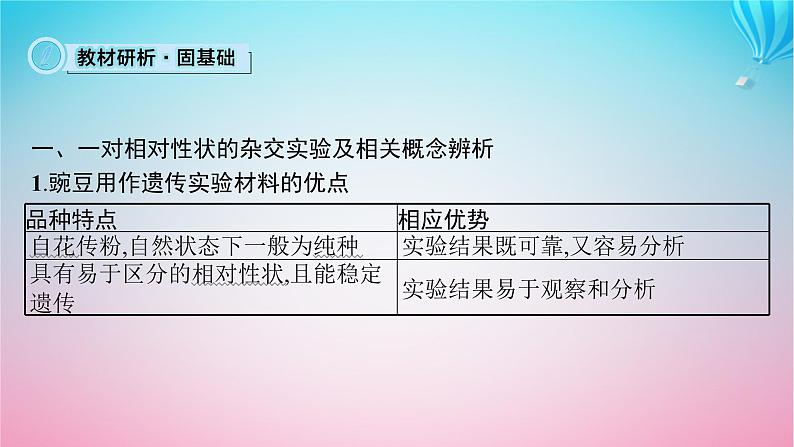 2024高考生物基础知识复习专题突破9遗传定律与伴性遗传课件05