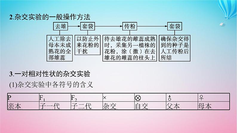 2024高考生物基础知识复习专题突破9遗传定律与伴性遗传课件06