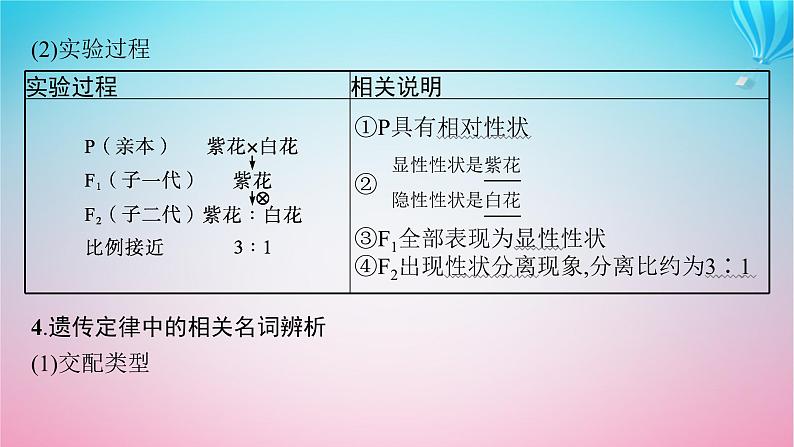 2024高考生物基础知识复习专题突破9遗传定律与伴性遗传课件07