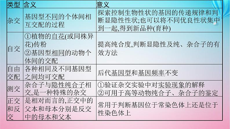 2024高考生物基础知识复习专题突破9遗传定律与伴性遗传课件08