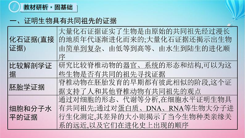 2024高考生物基础知识复习专题突破12生物的进化课件第5页