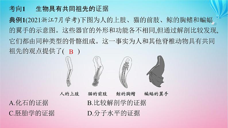 2024高考生物基础知识复习专题突破12生物的进化课件第8页