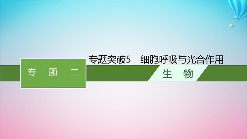 2024高考生物基础知识复习专题突破5细胞呼吸与光合作用课件01