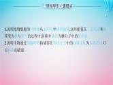 2024高考生物基础知识复习专题突破5细胞呼吸与光合作用课件