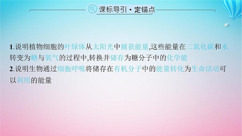 2024高考生物基础知识复习专题突破5细胞呼吸与光合作用课件02