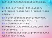 2024高考生物基础知识复习专题突破5细胞呼吸与光合作用课件