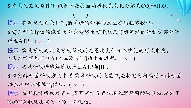 2024高考生物基础知识复习专题突破5细胞呼吸与光合作用课件04