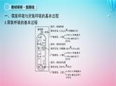 2024高考生物基础知识复习专题突破5细胞呼吸与光合作用课件