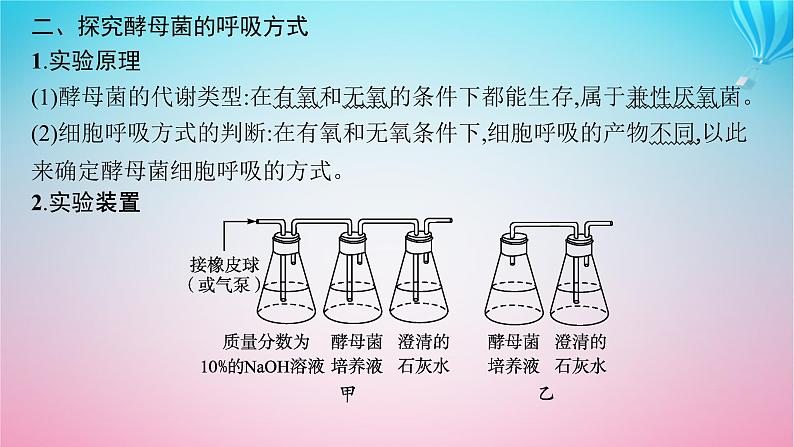 2024高考生物基础知识复习专题突破5细胞呼吸与光合作用课件07