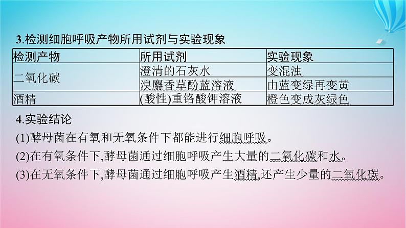 2024高考生物基础知识复习专题突破5细胞呼吸与光合作用课件08