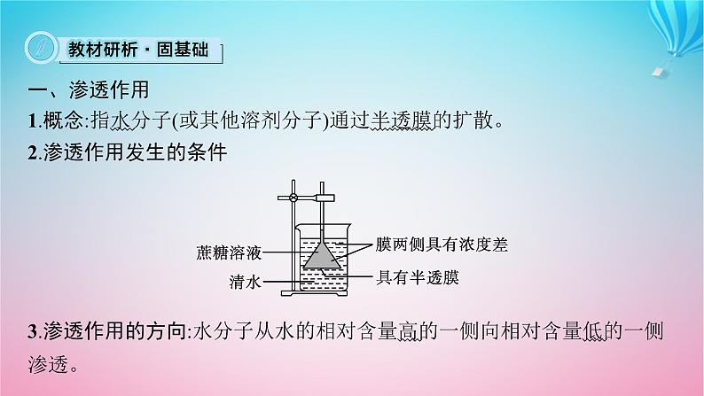 2024高考生物基础知识复习专题突破4物质出入细胞的方式课件第5页