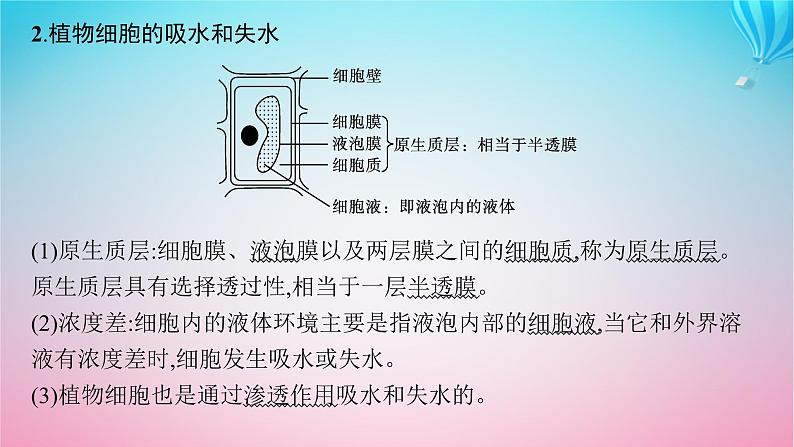 2024高考生物基础知识复习专题突破4物质出入细胞的方式课件第7页