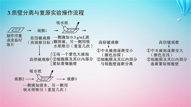 2024高考生物基础知识复习专题突破4物质出入细胞的方式课件第8页