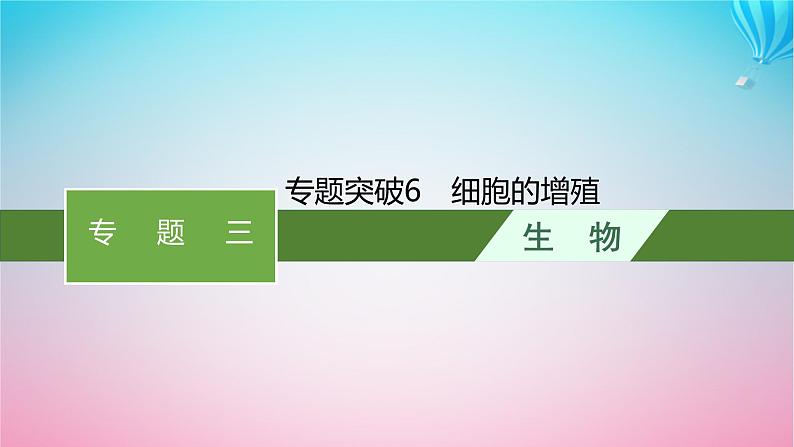 2024高考生物基础知识复习专题突破6细胞的增殖课件第1页