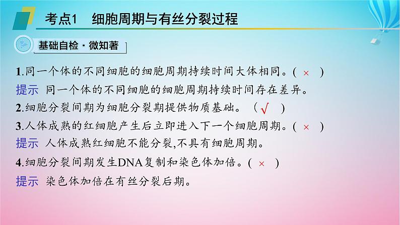 2024高考生物基础知识复习专题突破6细胞的增殖课件第3页