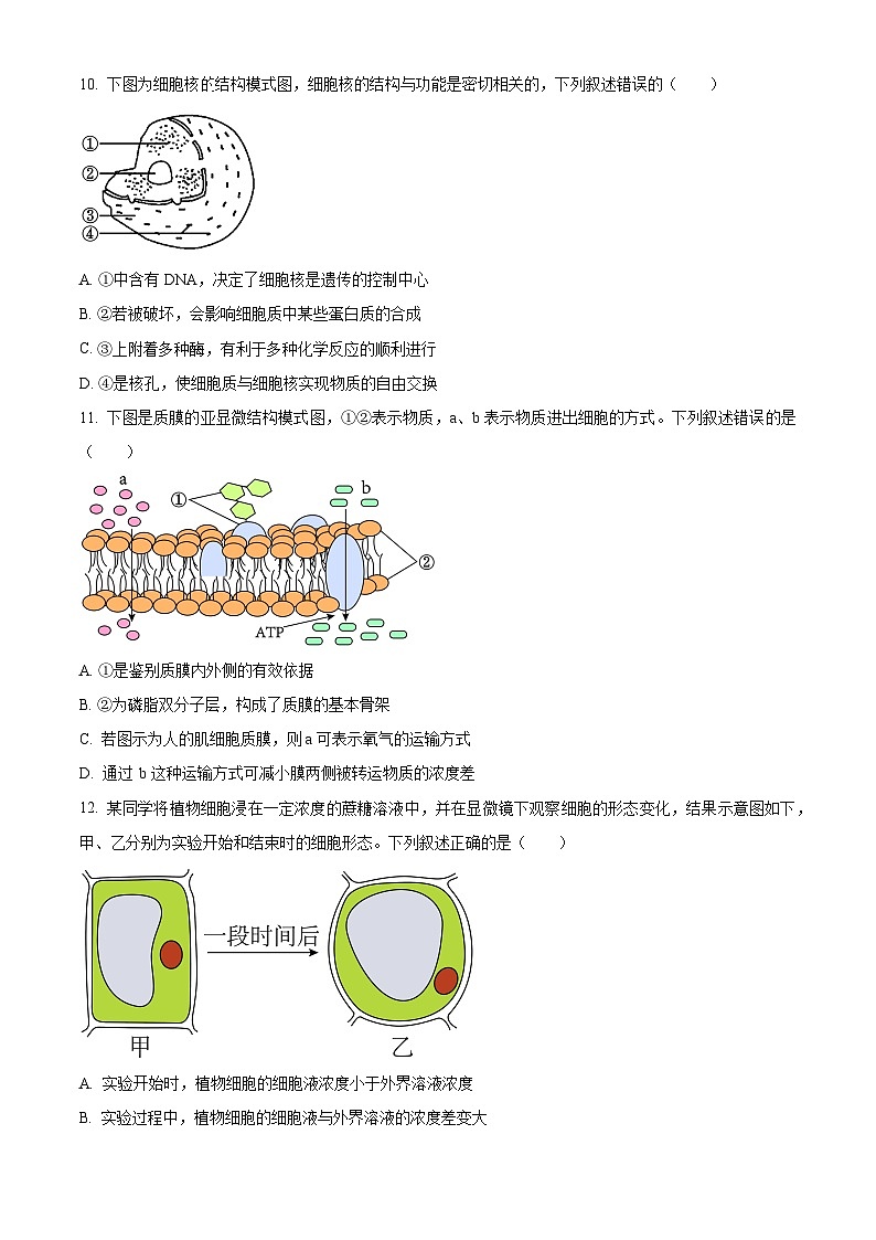 2024温州高一上学期期末检测试题生物（B卷）含解析03