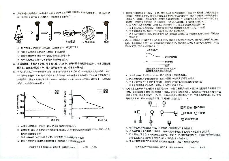 江西省重点中学协作体2024届高三第一次联考生物试卷第2页