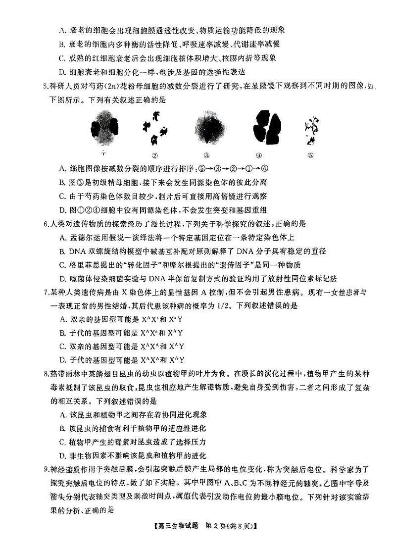 湖南天壹联盟三湘名校2024届高三下学期入学摸底考试生物02